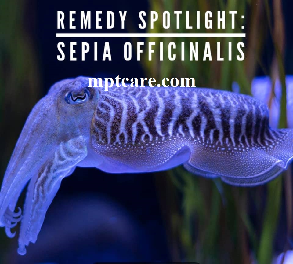 Sepia Homeopathy