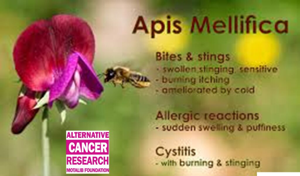 Apis Homeopathy