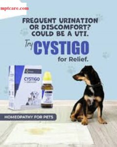 Homeopathy for UTI